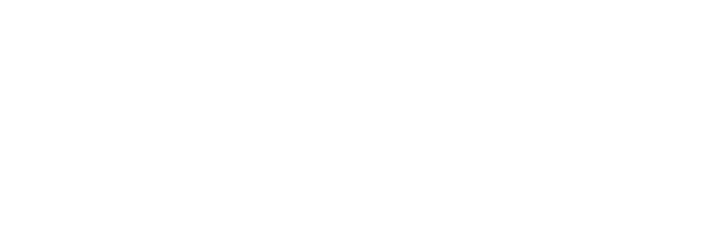 Vision SCF